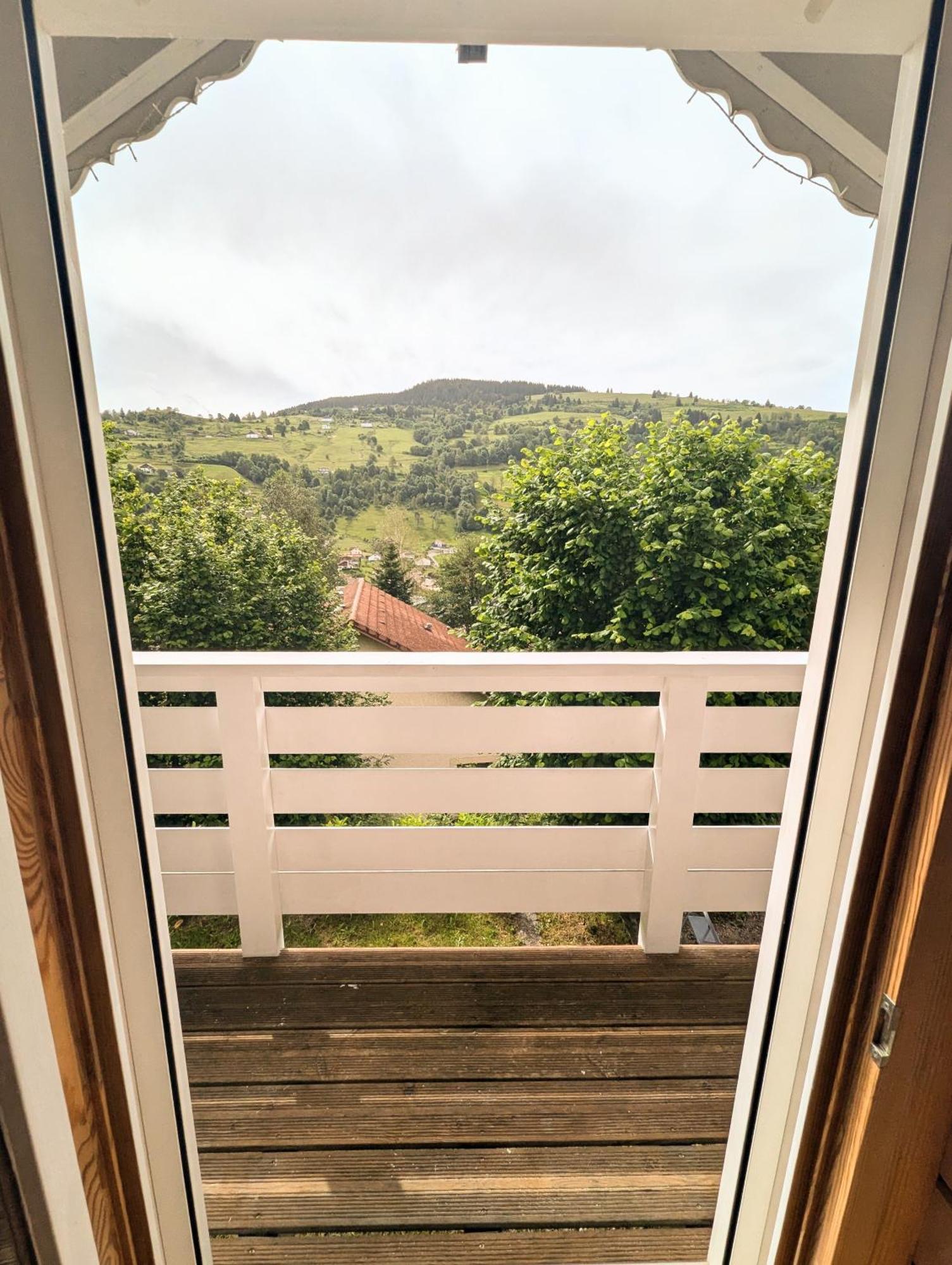 Chalet Sauna Jacuzzi 6 Personnes La Bresse Exterior foto